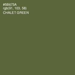 #5B673A - Chalet Green Color Image